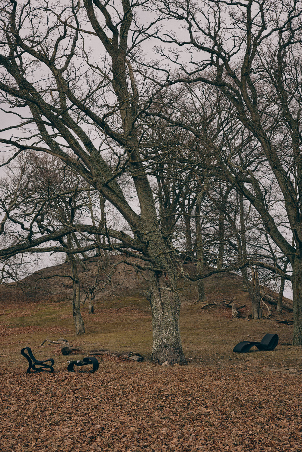 Jurij Rahimkulov ‘Reform’ lounge chair - Image 3